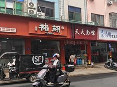 -福鼎褚翅