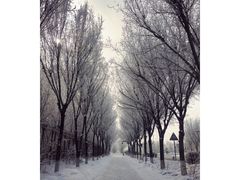 -乌鲁木齐房产大厦