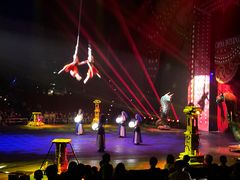 -珠海横琴长隆《卡卡虎奇遇记》