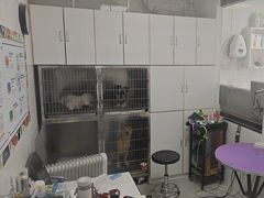 -中农国际动物医院24小时·猫科·骨科·急重症中心
