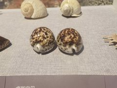 -中国（海南）南海博物馆