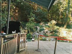 -灵栖洞天