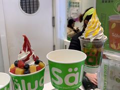 -Salud撒露欧洲冻酸奶(蓝色港湾店)