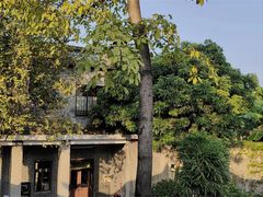 -东莞市可园博物馆