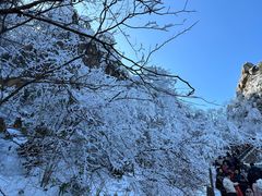 -九华山风景区
