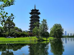 -洋湖国家湿地公园