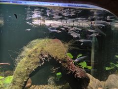 -太平洋海底世界