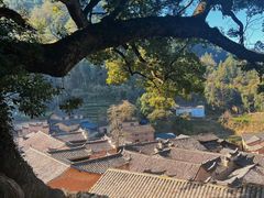 -杨家堂村
