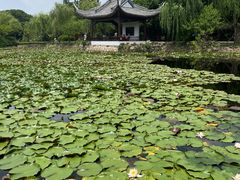 -无锡蠡湖国家湿地公园-蠡园