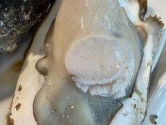 -半岛听涛蒸汽海鲜自助(K11店)