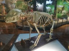 -陕西自然博物馆