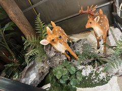 -肖记公安牛肉鱼杂馆· 省级非物质文化遗产(仁和路店)