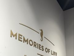 -海马体照相馆(天津世纪都会店)