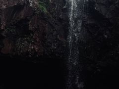 -四明山国家森林公园