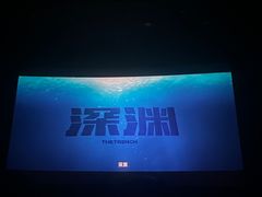 -SFC上影百联影城(大上海4DX店)