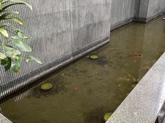 -松鹤楼(月坛店)