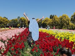 -广东花都香草世界旅游度假区