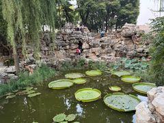 -莲池书院博物馆