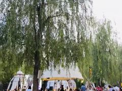 -维斯特·夜烤牛肋条任吃