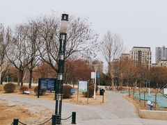 -泰丰公园