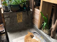 -悟饮门市景店