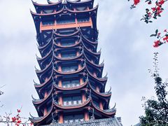 -塔子山公园