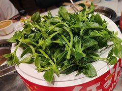 -龍歌自助小火锅(李沧顺和汇店)