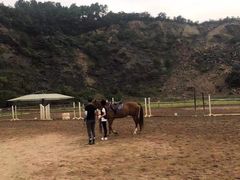 -枫露马术学院(藏书校区)