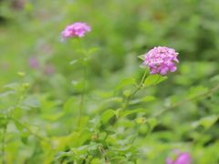 -沕沕水生态风景区