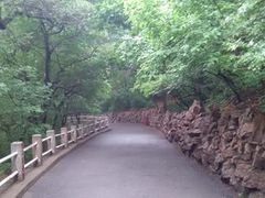 -北山公园