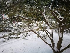 -大连理工大学(凌水校区)