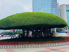 -南宁南湖公园
