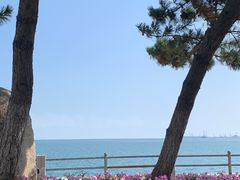 -悦海公园