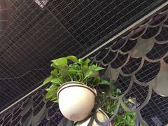 -问渔烤鱼(回龙观总店)
