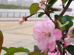 -龙美术馆(西岸馆)