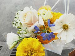 -知物癖(牛王庙店)