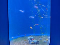 -欢乐海岸海洋奇梦馆