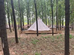 -森林小栈TreeStation露营基地