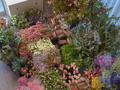 -循礼门鲜花花市(武汉循礼门店)