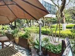 -缘生态云南菜·野生菌庭院餐厅(华侨城店)