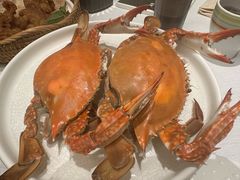 -开海·红岛海鲜虾水饺(石老人店)