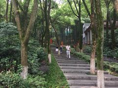 -天目湖山水园