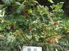-广州神农草堂中医药博物馆
