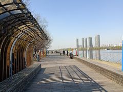 -长白岛森林公园