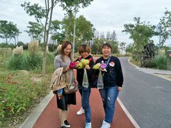 -上海长兴岛郊野公园