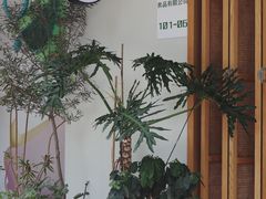 -Fruiffee Cafe 果啡派