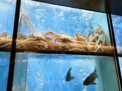 -珍宝海鲜JUMBO Seafood(尚嘉店)