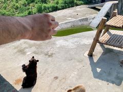 -哈尔滨北方森林动物园