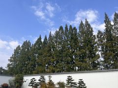 -杭州雅谷泉山庄酒店-餐厅