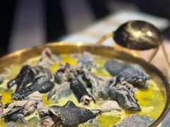 -Darling Queen·Mini·Live·House